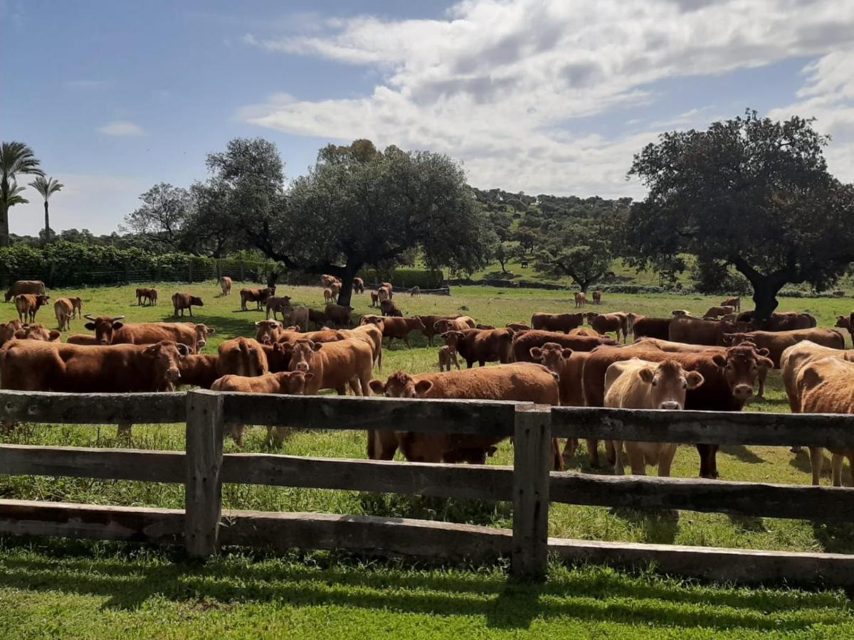 Alojamiento Rural Finca Barral El Garrobo Zewnętrze zdjęcie