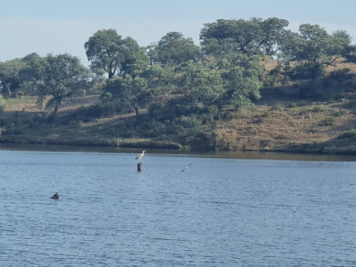 Alojamiento Rural Finca Barral El Garrobo Zewnętrze zdjęcie