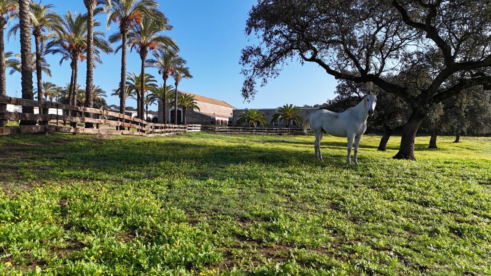 Alojamiento Rural Finca Barral El Garrobo Zewnętrze zdjęcie