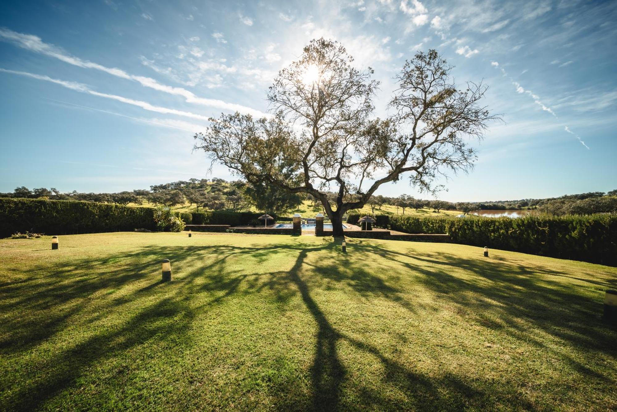 Alojamiento Rural Finca Barral El Garrobo Zewnętrze zdjęcie