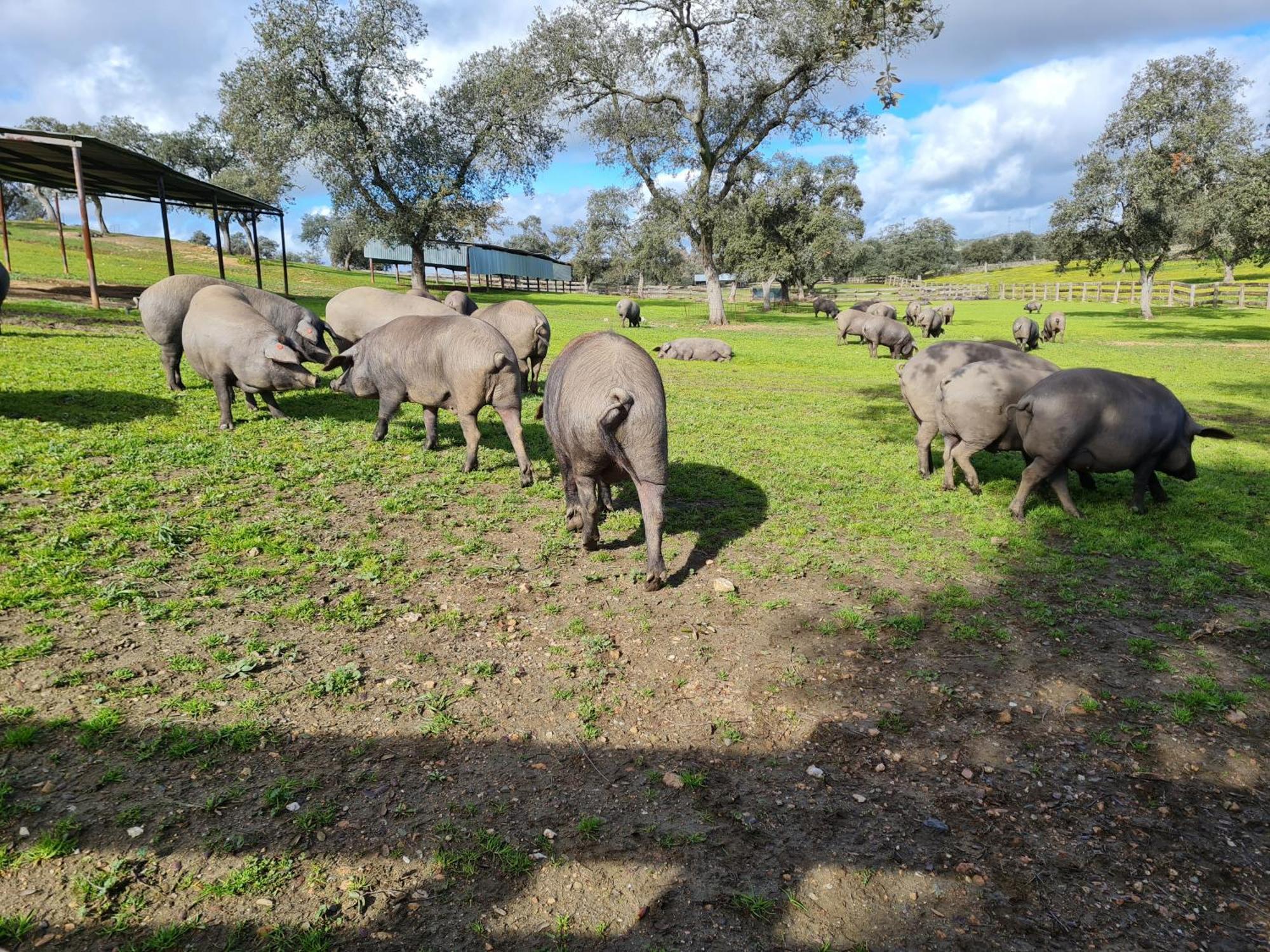 Alojamiento Rural Finca Barral El Garrobo Zewnętrze zdjęcie
