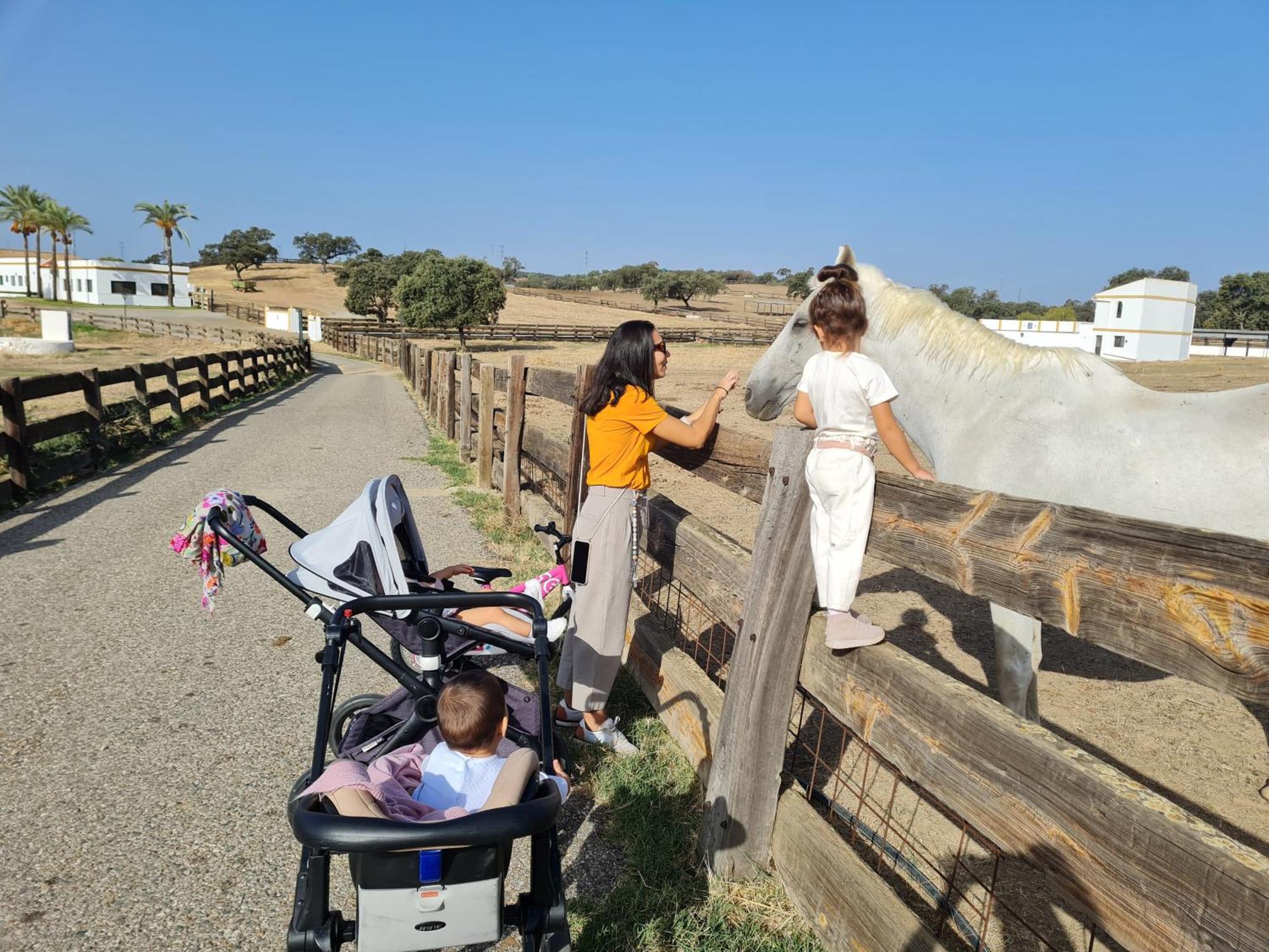 Alojamiento Rural Finca Barral El Garrobo Zewnętrze zdjęcie