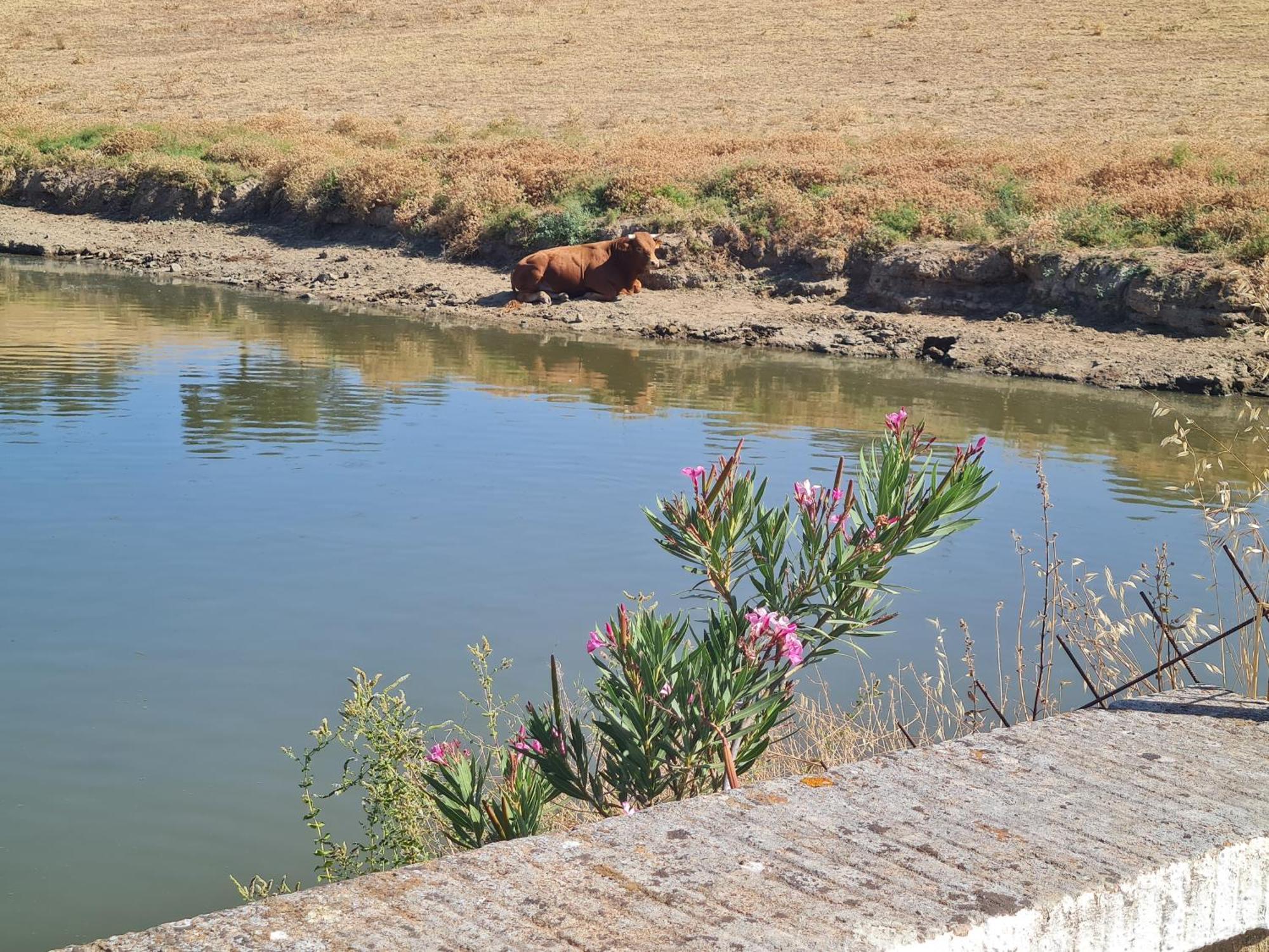 Alojamiento Rural Finca Barral El Garrobo Zewnętrze zdjęcie